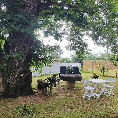 Castanheiro's Place Апартаменты