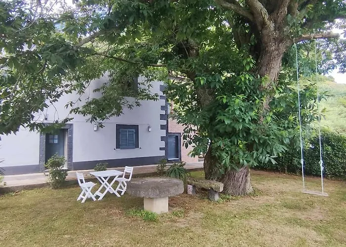 Castanheiro's Place アパート ポンタ・デルガダ