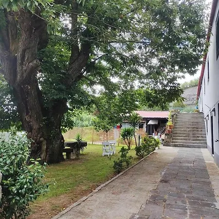 شقة Castanheiro's Place Ponta Delgada