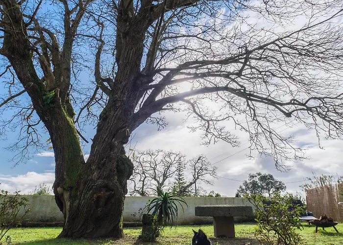 Castanheiro's Place * Ponta Delgada